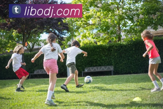 立博电竞APP 封面图